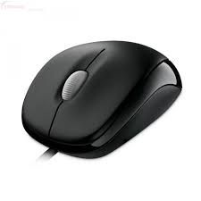 MS COMPACT OPTICAL MOUSE 500 USB